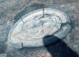 d0229442_2044265.gif