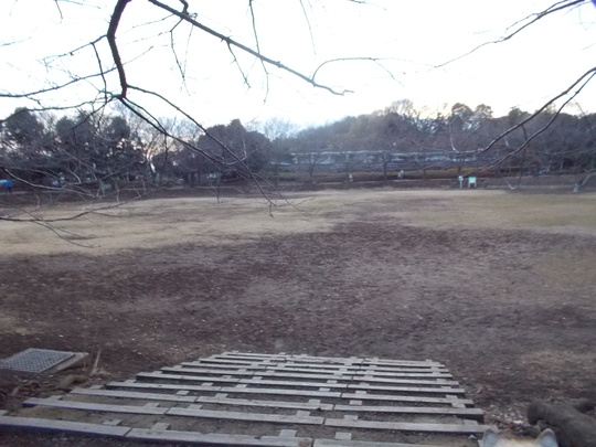 e0121548_18481688.jpg