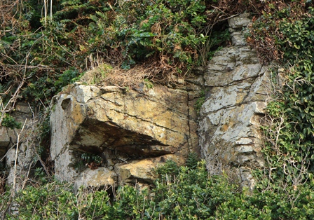 d0163550_20195851.jpg