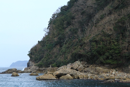 d0163550_2138544.jpg