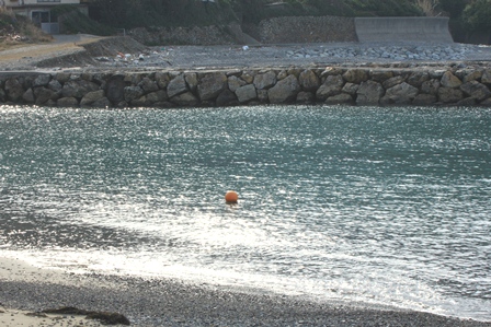 d0163550_21394593.jpg