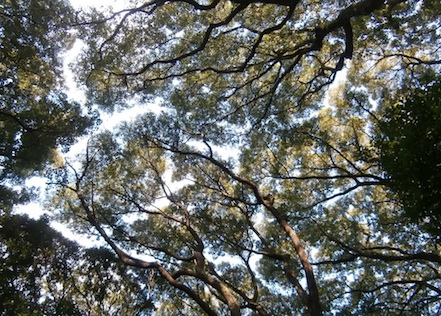 e0276850_2275664.jpg