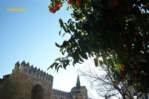 a0249051_18353737.jpg