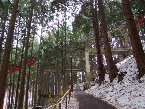 e0088260_22345772.jpg