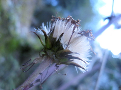 b0267163_1882251.jpg