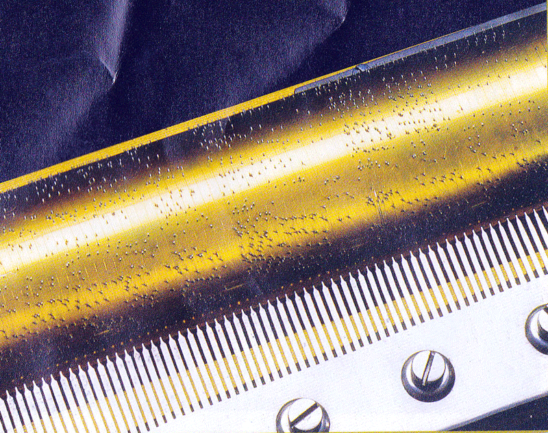 b0159780_8503842.gif