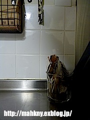 e0198587_1525044.jpg