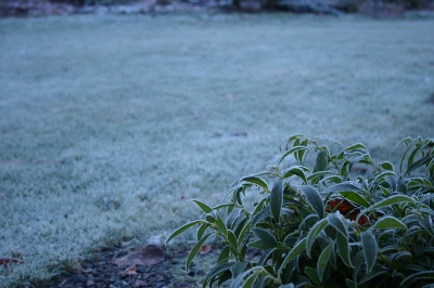 b0283192_11305047.jpg