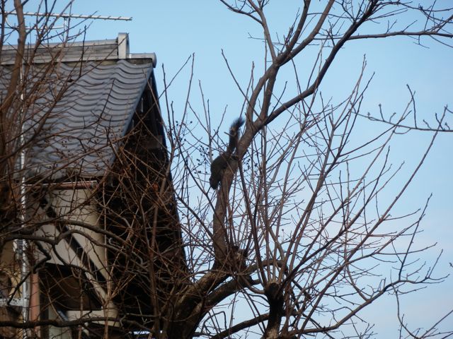 f0130894_2373982.jpg