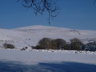 b0110999_23393248.jpg
