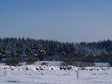 b0110999_23402565.jpg