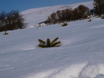 b0110999_2340551.jpg