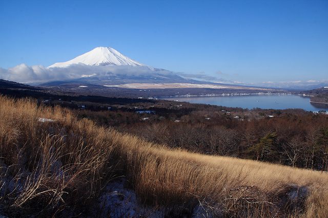 a0188405_8293718.jpg