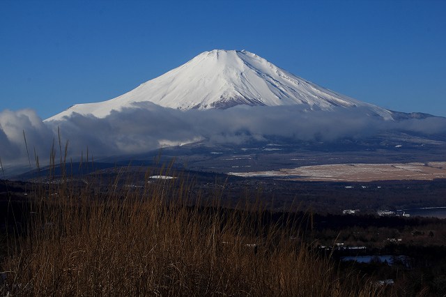 a0188405_8331969.jpg