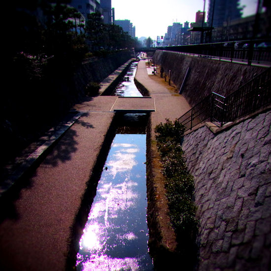 d0181907_22173891.jpg