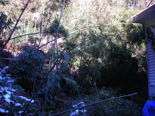 b0096418_14502497.jpg