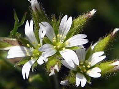 a0245136_133899.jpg