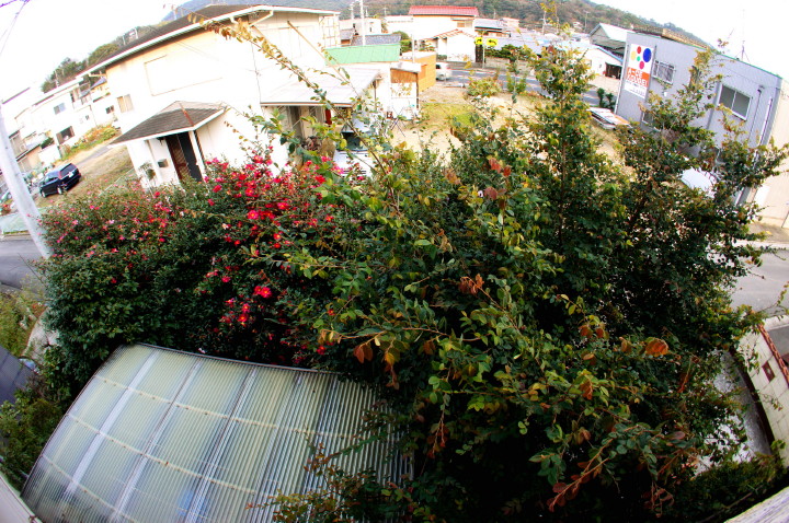 d0241937_1655857.jpg