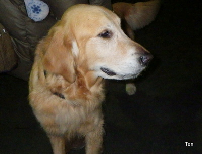 a0142343_23434262.jpg
