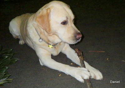 a0142343_2346060.jpg