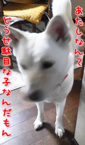 f0195543_0234174.jpg