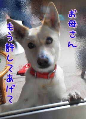 f0195543_0244144.jpg