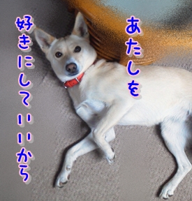 f0195543_0245460.jpg