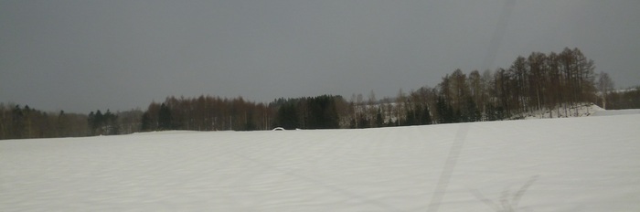 a0193457_20265679.jpg
