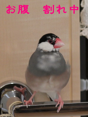 b0158061_22175322.jpg