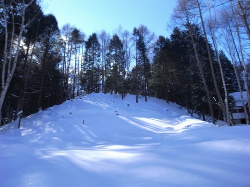 c0166668_941237.jpg
