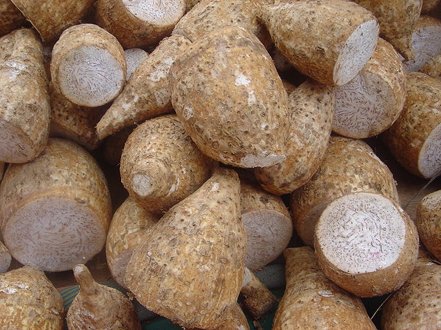 e0159569_1511097.jpg