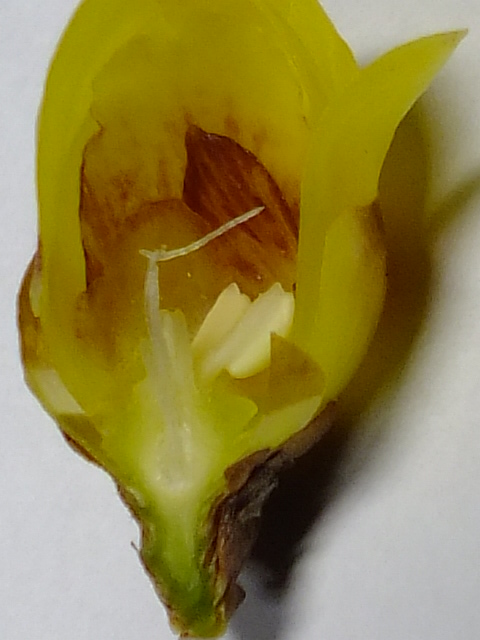 e0145782_1846736.jpg