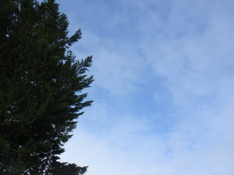 a0247585_858727.jpg