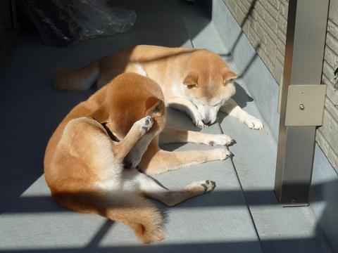 c0123890_20245137.jpg