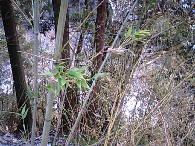 f0231709_1921729.jpg