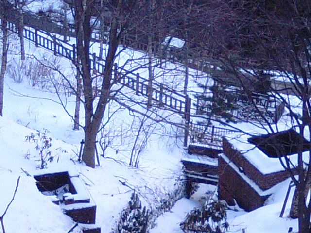 f0231709_812798.jpg