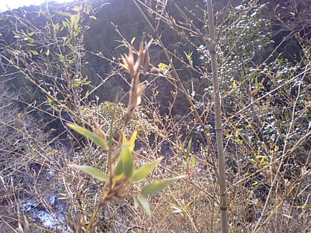 f0231709_863976.jpg
