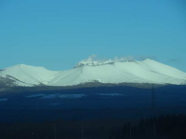 a0143839_1413029.jpg