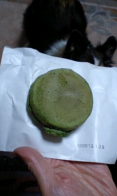 f0210439_14582021.jpg