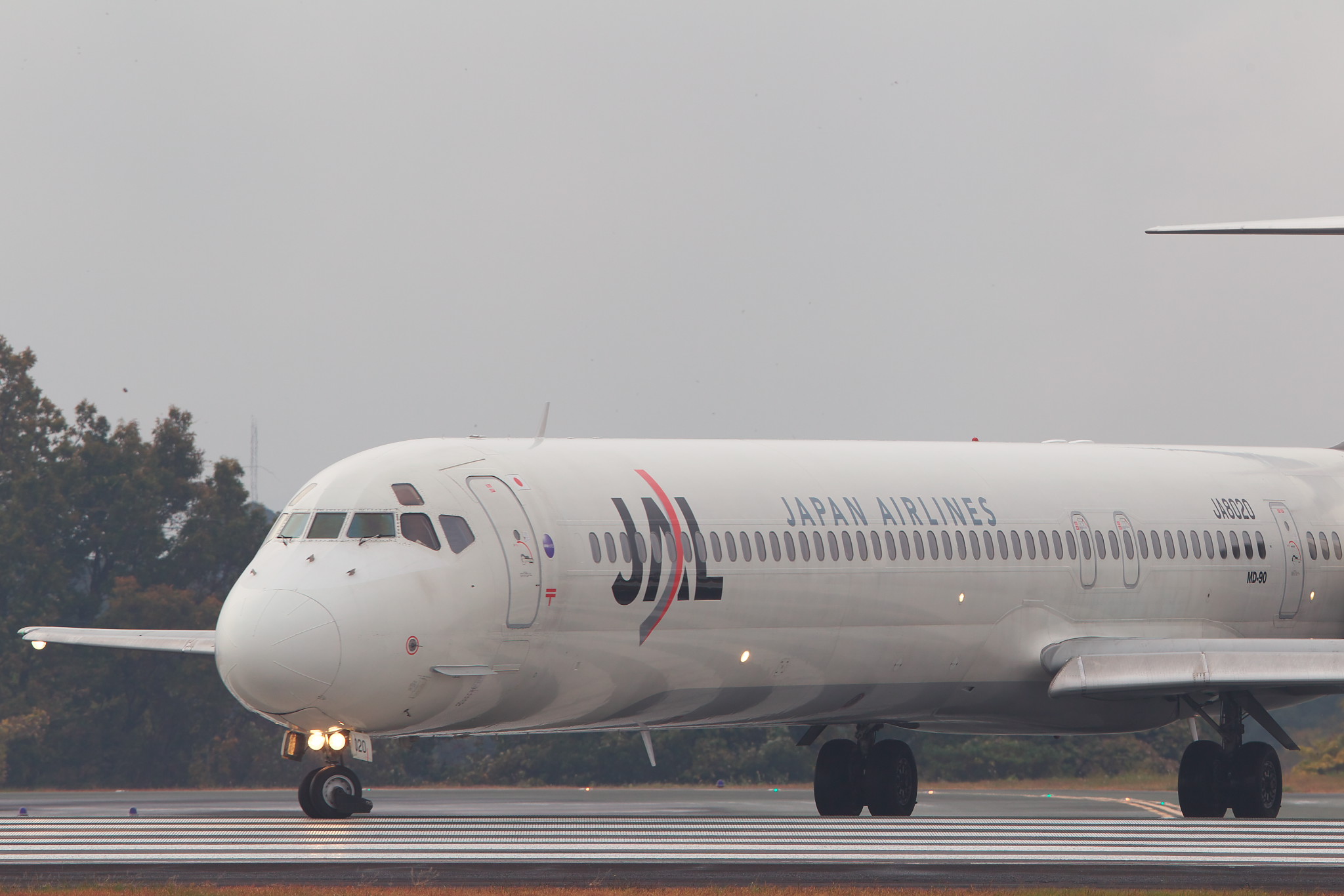 a0219140_1164621.jpg