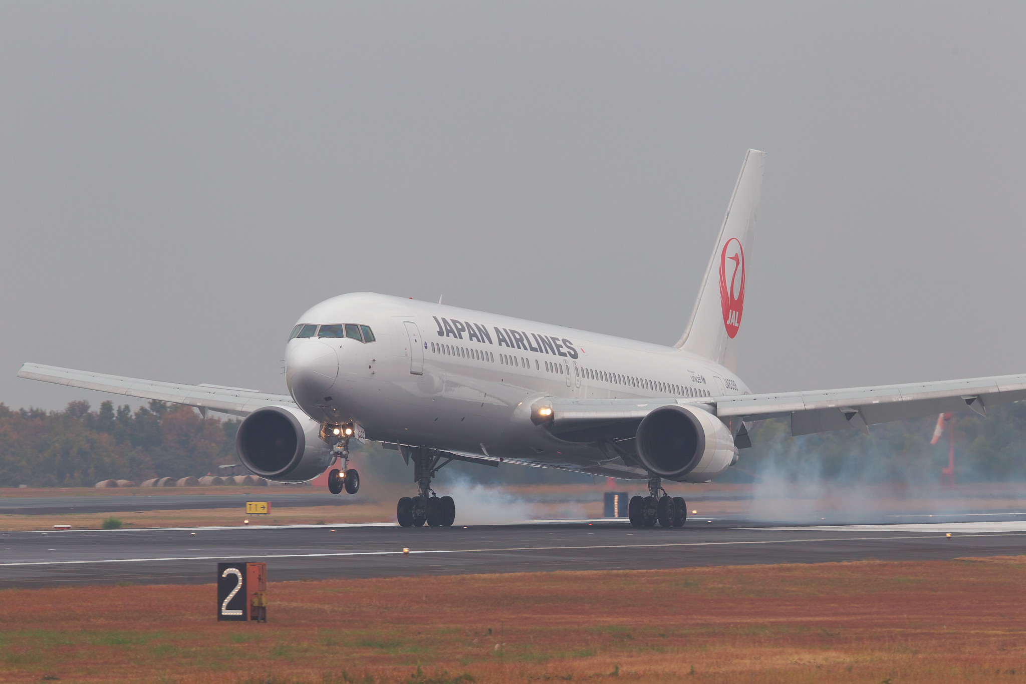 a0219140_1165136.jpg
