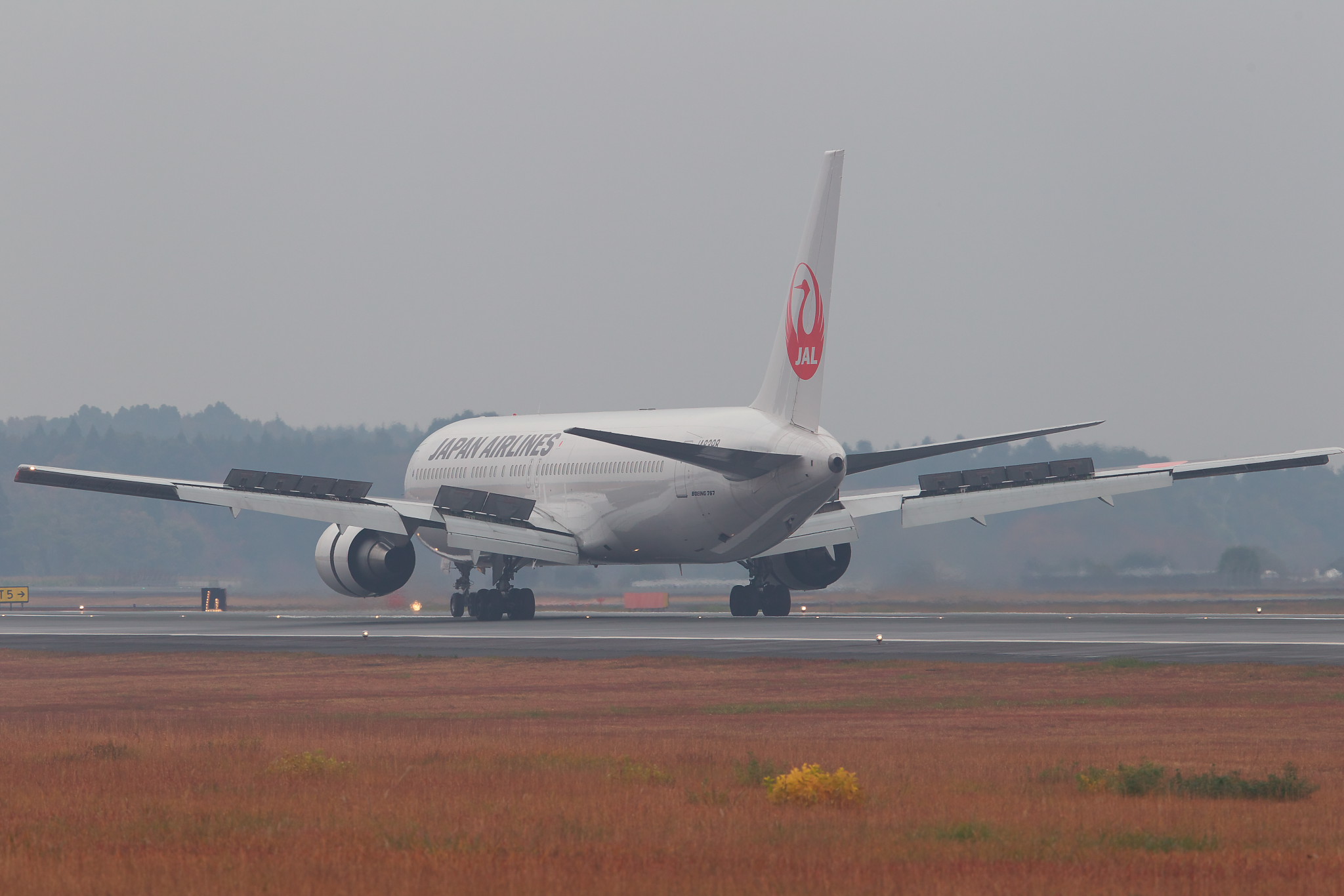 a0219140_1165614.jpg