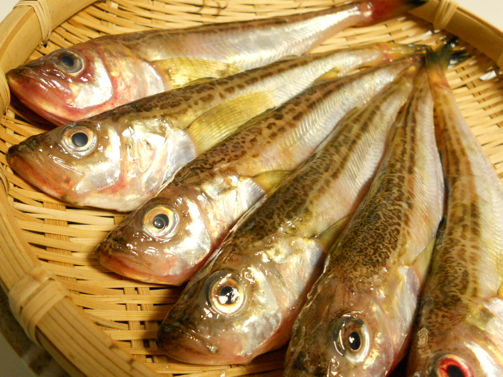 e0300042_14474023.jpg