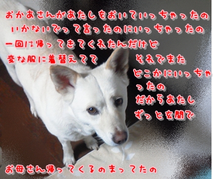 f0195543_22171130.jpg