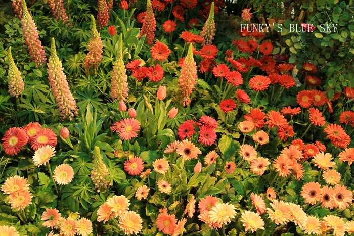 c0145250_12141385.jpg