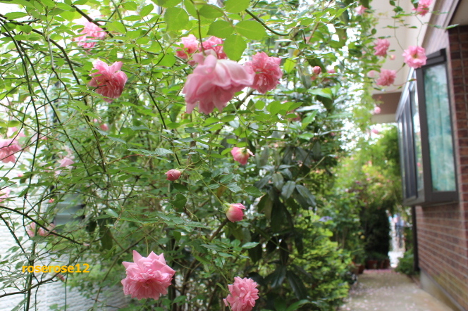 a0249051_1941092.jpg