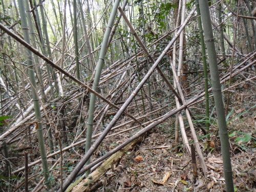 c0179351_181016.jpg