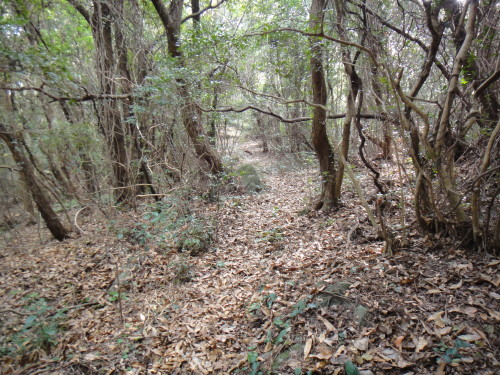 c0179351_18104233.jpg