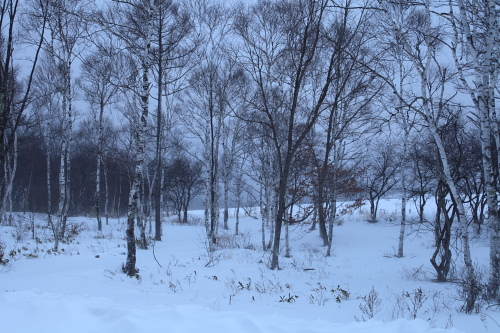 f0232758_2084467.jpg