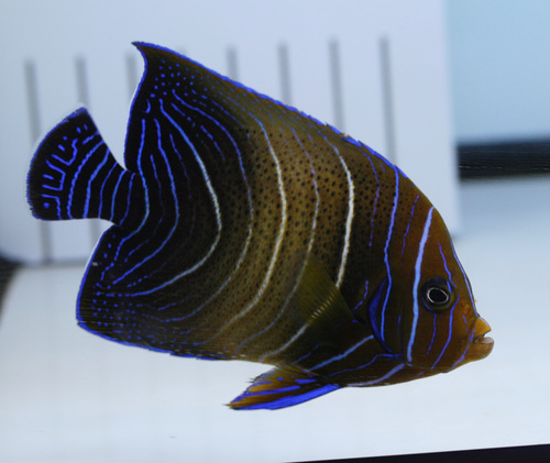 a0162261_2091441.jpg